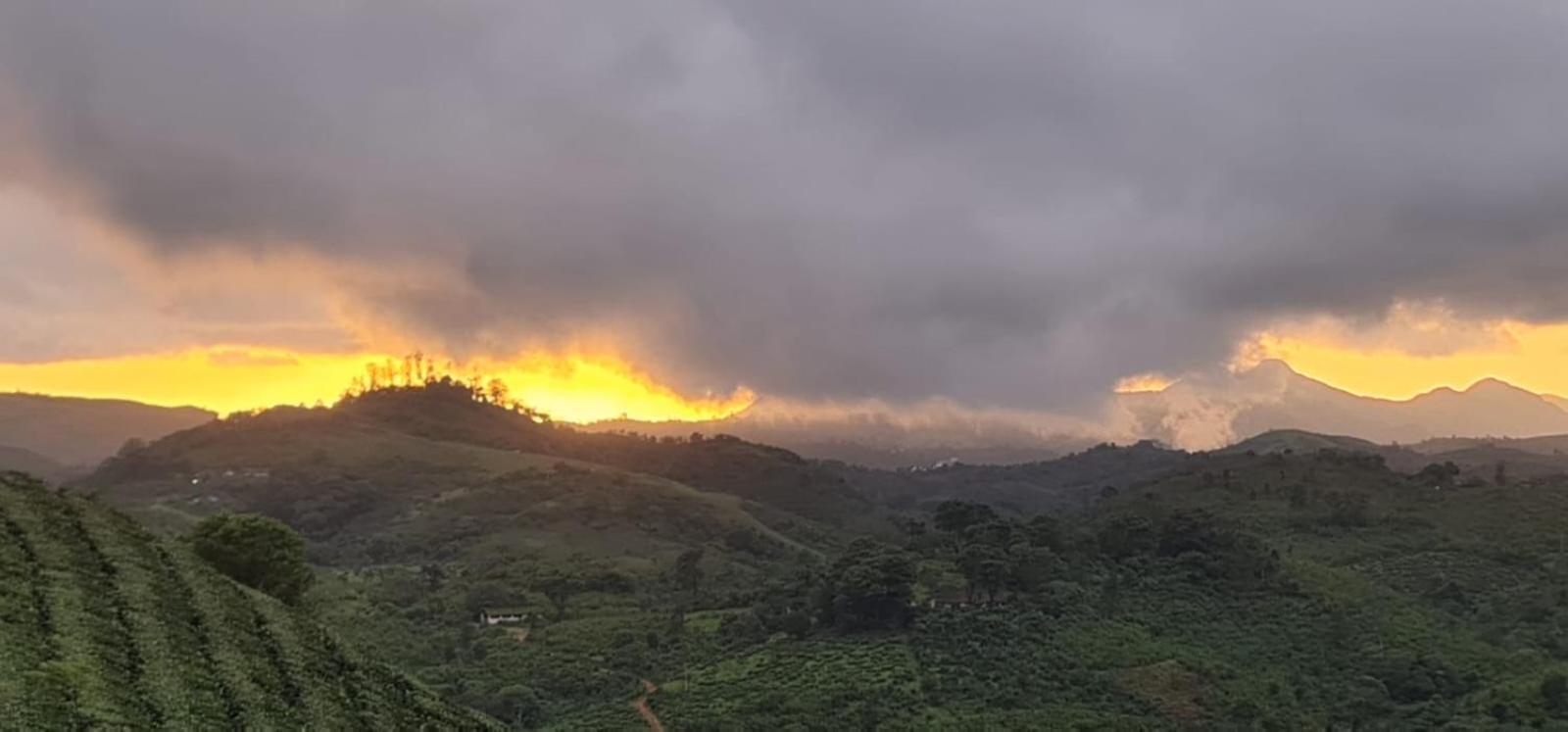 Vaga Mist Resort Vagamon Idukki Esterno foto